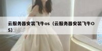 云服务器安装飞牛os（云服务器安装飞牛OS）