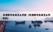 天津限号出来怎么罚款（天津限号出来怎么罚款的）