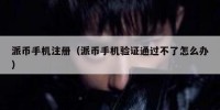 派币手机注册（派币手机验证通过不了怎么办）