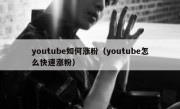 youtube如何涨粉（youtube怎么快速涨粉）