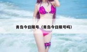 青岛今日限号（青岛今日限号吗）