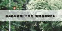 服务器实名有什么风险（服务器要实名吗）