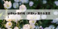 pi币kyc指的啥（币圈kyc是什么意思）