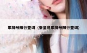 车牌号限行查询（秦皇岛车牌号限行查询）