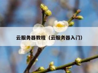 云服务器教程（云服务器入门）