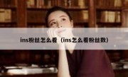ins粉丝怎么看（ins怎么看粉丝数）