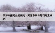 天津市限号处罚规定（天津市限号处罚规定细则）