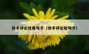 快手评论优美句子（快手评论短句子）