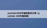 youtube3000万播放量多少钱（youtube 100万播放量）