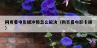 网页看电影缓冲慢怎么解决（网页看电影卡顿）
