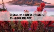 youtube怎么后播放（youtube怎么播放玩其他界面）