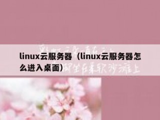 linux云服务器（linux云服务器怎么进入桌面）