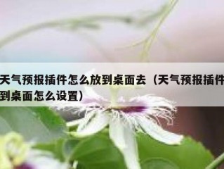 天气预报插件怎么放到桌面去（天气预报插件到桌面怎么设置）