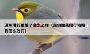 深圳限行被拍了会怎么样（深圳如果限行被拍到怎么处罚）