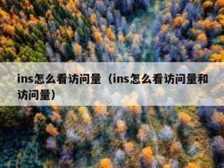 ins怎么看访问量（ins怎么看访问量和访问量）
