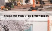 派币手机注册流程图片（派币注册姓名步骤）