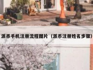 派币手机注册流程图片（派币注册姓名步骤）