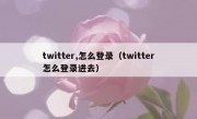 twitter,怎么登录（twitter怎么登录进去）