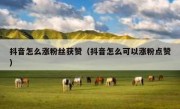 抖音怎么涨粉丝获赞（抖音怎么可以涨粉点赞）
