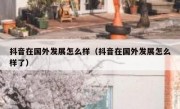 抖音在国外发展怎么样（抖音在国外发展怎么样了）