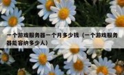 一个游戏服务器一个月多少钱（一个游戏服务器能容纳多少人）