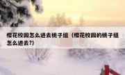 樱花校园怎么进去桃子组（樱花校园的桃子组怎么进去?）