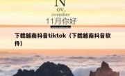 下载越南抖音tiktok（下载越南抖音软件）