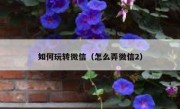 如何玩转微信（怎么弄微信2）