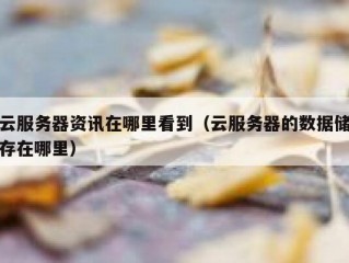 云服务器资讯在哪里看到（云服务器的数据储存在哪里）