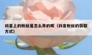 抖音上的粉丝是怎么弄的呢（抖音粉丝的获取方式）