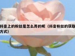 抖音上的粉丝是怎么弄的呢（抖音粉丝的获取方式）