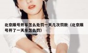 北京限号开车怎么处罚一天几次罚款（北京限号开了一天车怎么罚）