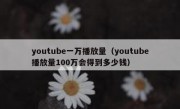 youtube一万播放量（youtube播放量100万会得到多少钱）