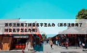 派币注册用了拼音名字怎么办（派币注册用了拼音名字怎么办呢）