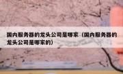 国内服务器的龙头公司是哪家（国内服务器的龙头公司是哪家的）