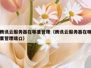 腾讯云服务器在哪里管理（腾讯云服务器在哪里管理端口）