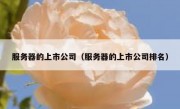 服务器的上市公司（服务器的上市公司排名）