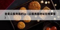 查看云服务器的ip（云服务器地址在哪里看）