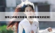 推特上的推文和媒体（推特和推文的区别）