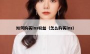 如何购买ins粉丝（怎么购买ins）