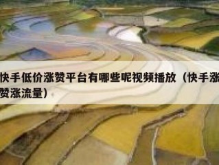 快手低价涨赞平台有哪些呢视频播放（快手涨赞涨流量）