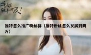 推特怎么推广粉丝群（推特粉丝怎么发展到两万）