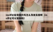 ins评论能带图片吗怎么发朋友圈呢（ins评论可以复制吗）