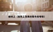 推特上（推特上发黄的账号有哪些）