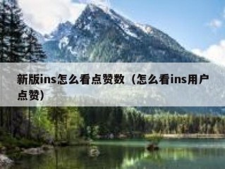 新版ins怎么看点赞数（怎么看ins用户点赞）