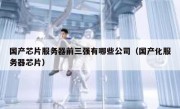 国产芯片服务器前三强有哪些公司（国产化服务器芯片）
