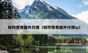 如何使用国外代理（如何使用国外代理ip）