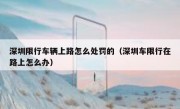 深圳限行车辆上路怎么处罚的（深圳车限行在路上怎么办）