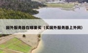 国外服务器在哪里买（买国外服务器上外网）