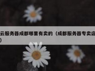云服务器成都哪里有卖的（成都服务器专卖店）